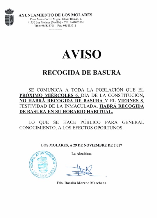 RECOGIDA BASURA CONSTITUCION 2017