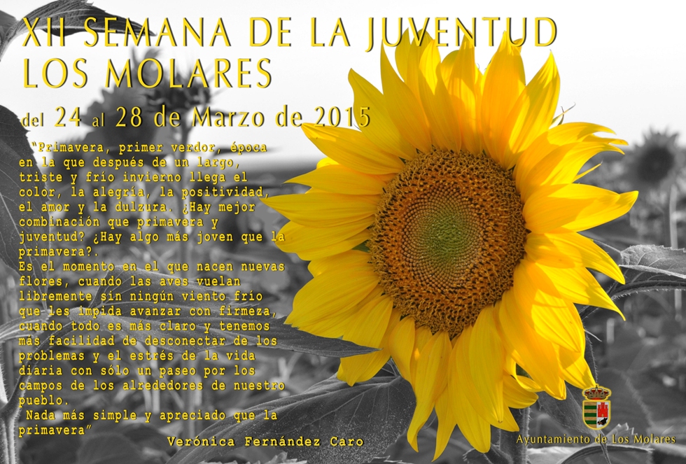 cartel SEMANA JUVENTUD 2015 girasol REDUCIDO